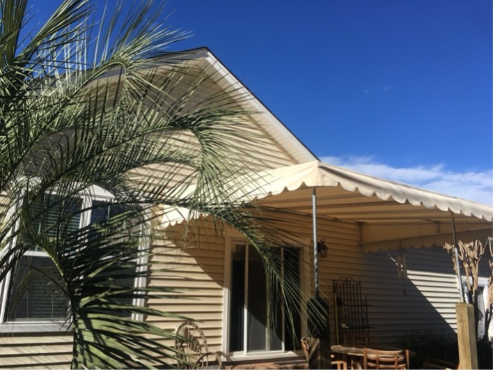 Suburban house with palm tree on sunny day.